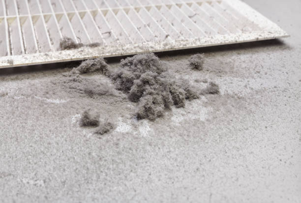 Best Ductwork Cleaning Services  in Woodruff, SC